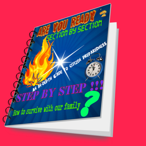 Product picture ARE YOU READY ?